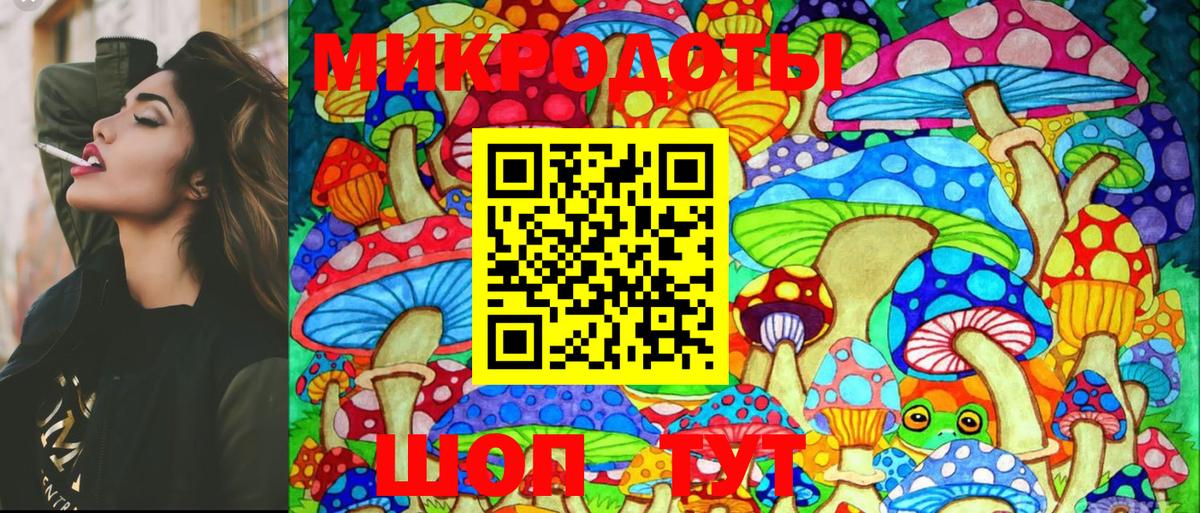 Псилоцибиновые грибы MAGIC MUSHROOMS Майкоп