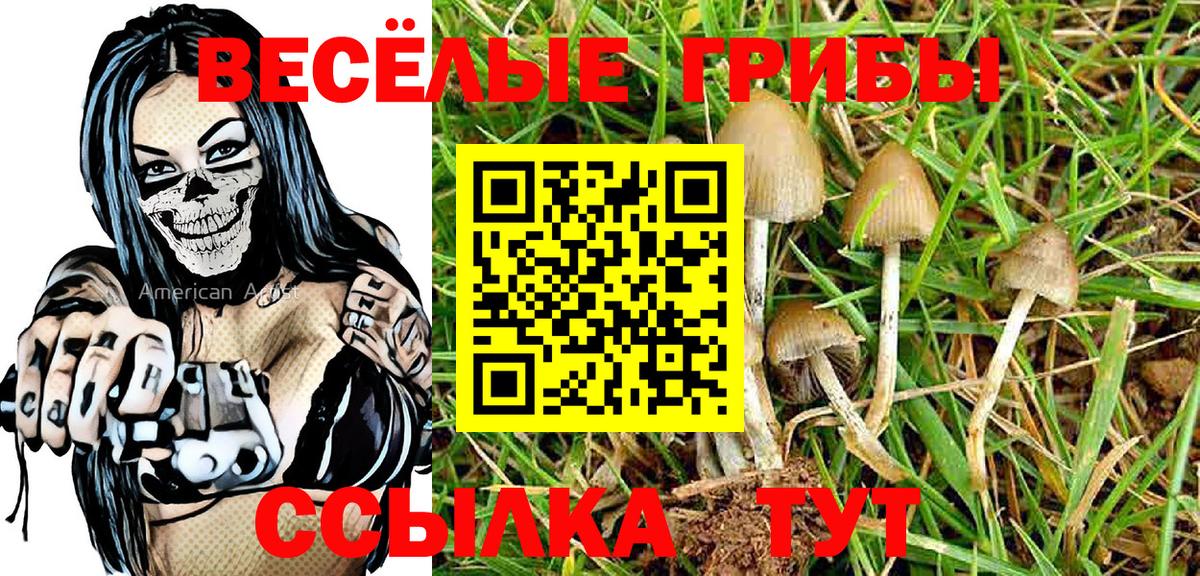 Псилоцибиновые грибы MAGIC MUSHROOMS  Вход с VPN  Майкоп 
